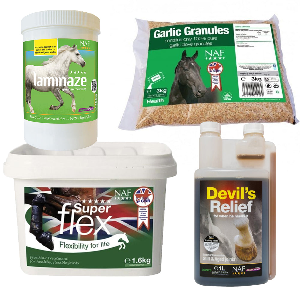 Supplements Horse Masters