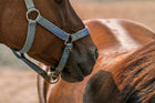 Horse Masters