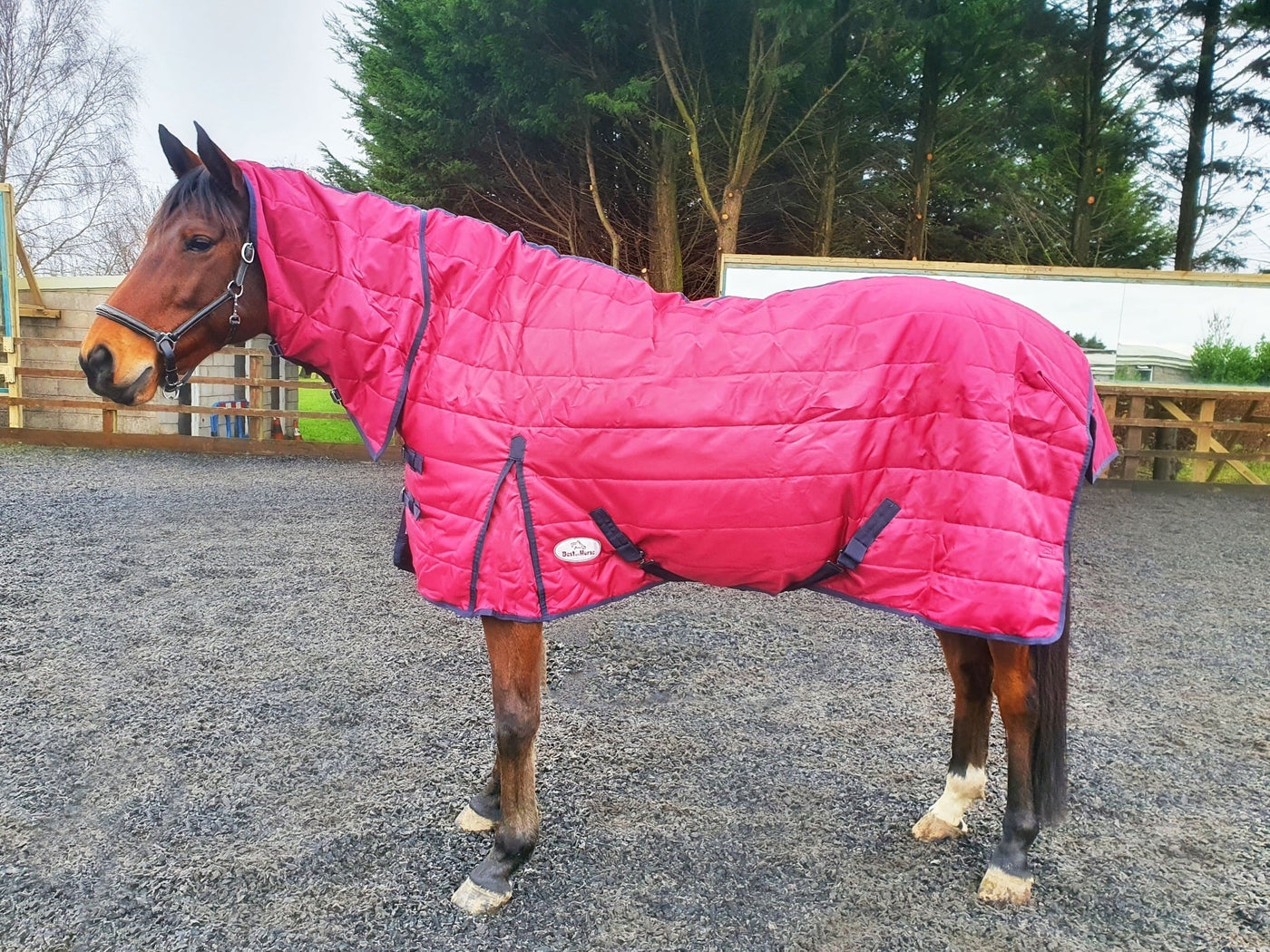 Best on Horse 250g Stable Combo Rug in Navy and Red