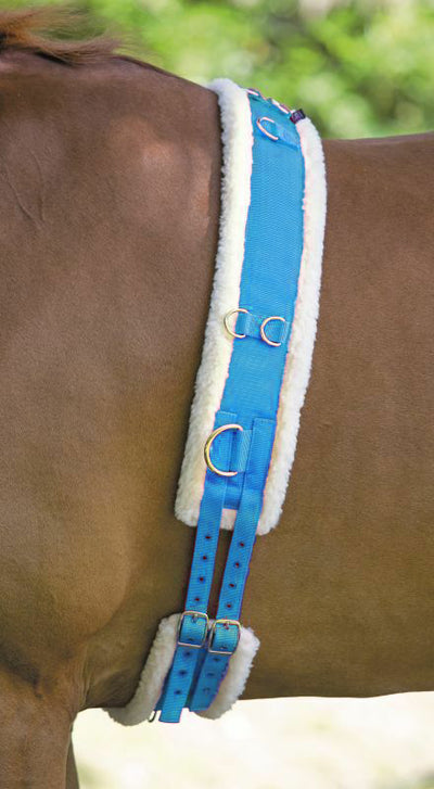 Best on Horse Fleece Padded Lunging Roller in 5 Colours