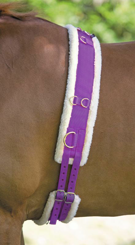 Best on Horse Fleece Padded Lunging Roller in 5 Colours