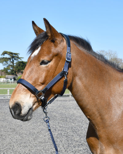 Heritage Saddlery Anatomical Leather Lined Headcollar