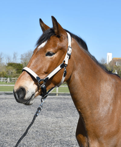 Heritage Saddlery Padded Leather Lined Headcollar