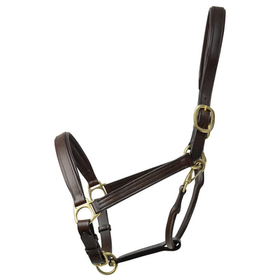 Coldstream Leather Padded Head Collar