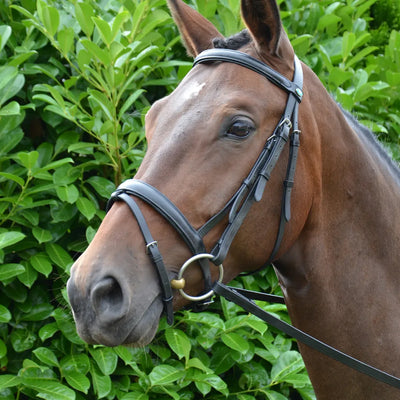 Hy Equestrian Padded Flash Bridle with Rubber Grip Reins