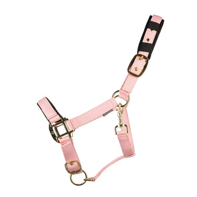 Hy Equestrian Deluxe Padded Head Collar