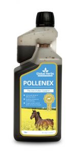 Global Herbs PolleneX Syrup-1 Litre