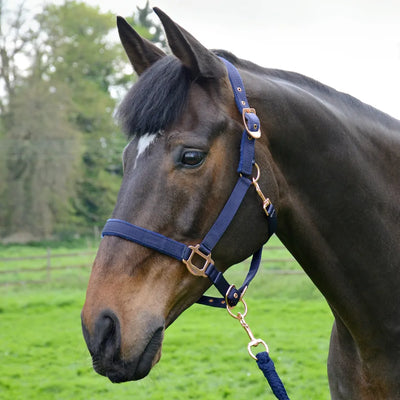 Hy Equestrian Rose Gold Head Collar & Lead Rope