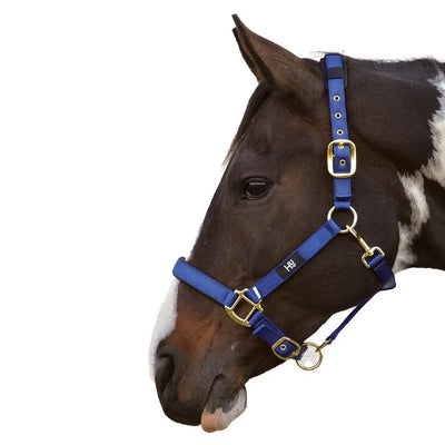 Hy Equestrian Deluxe Padded Head Collar