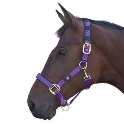 Hy Equestrian Deluxe Padded Head Collar