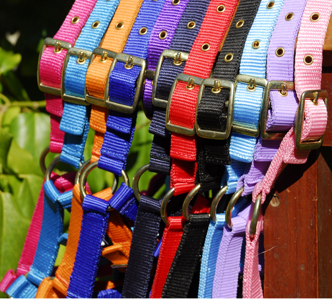 Rhinegold Nylon Foal Headcollar
