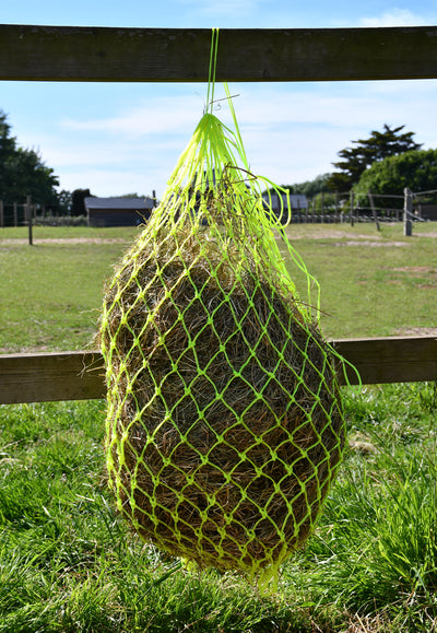Rhinegold Monarch Slow Feeder Small Hole Haynet-36