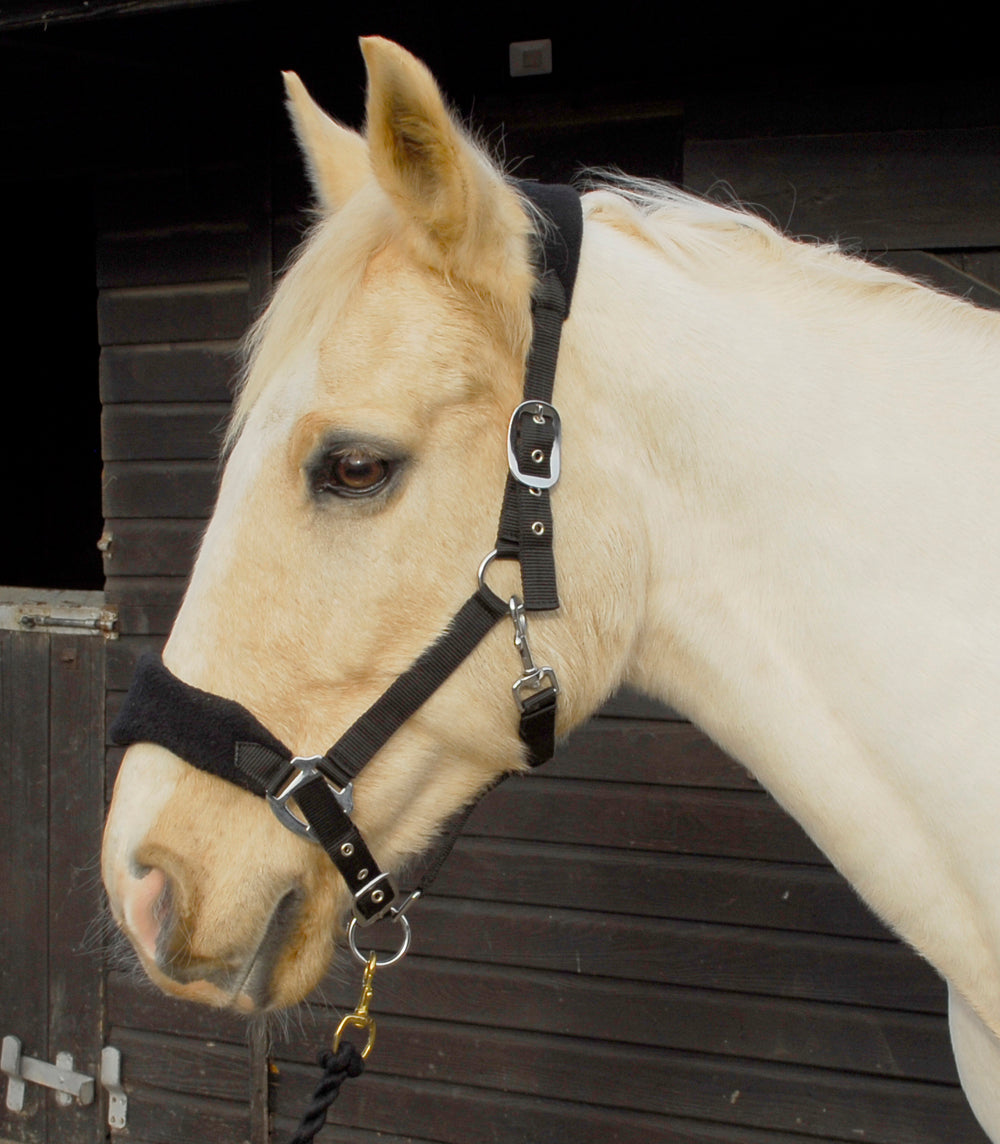 Rhinegold Comfort Headcollar And Lead Rope Set