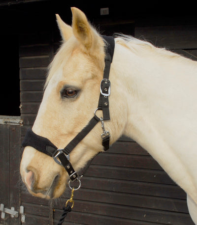 Rhinegold Comfort Headcollar And Lead Rope Set