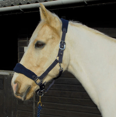 Rhinegold Comfort Headcollar And Lead Rope Set