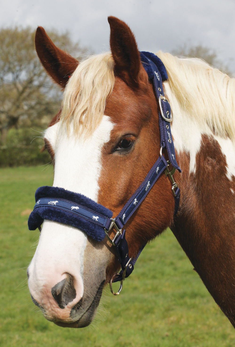 Rhinegold Padded Logo Headcollar