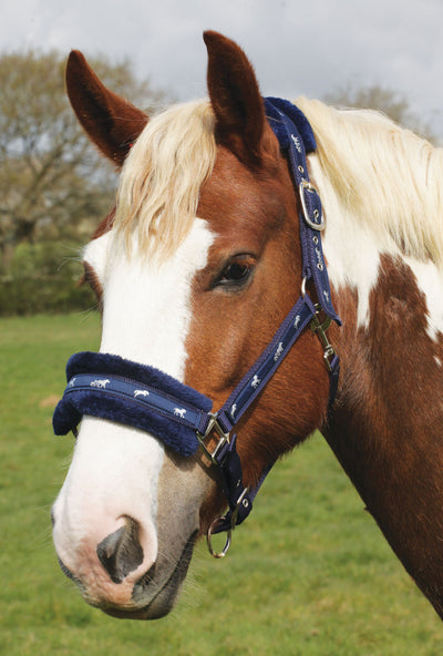 Rhinegold Padded Logo Headcollar