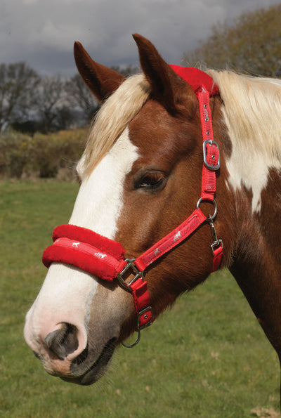 Rhinegold Padded Logo Headcollar