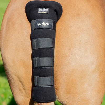 Supreme Products Royal Occasion Tail Guard PONY