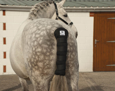 Rhinegold Cotton Quilted Tailguard