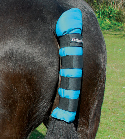 Rhinegold Cotton Quilted Tailguard