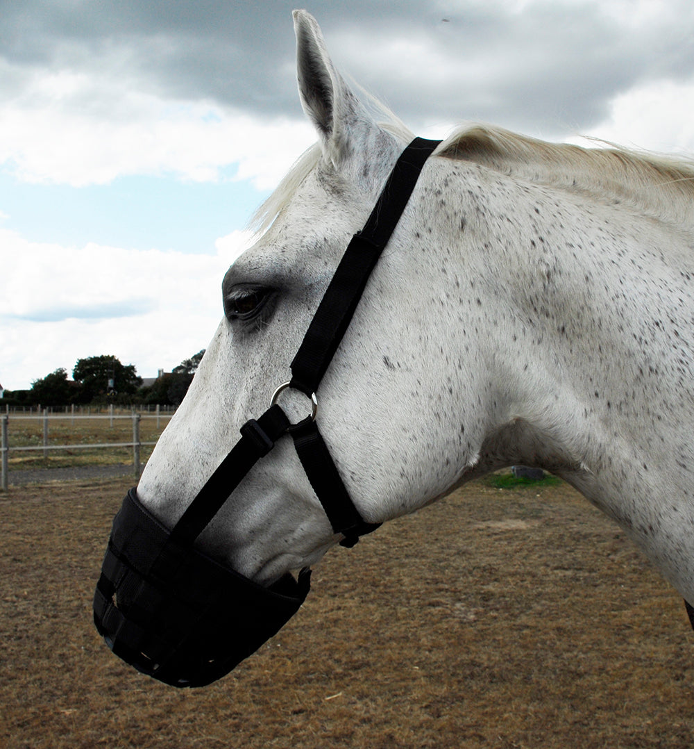 Rhinegold Grazing Muzzle