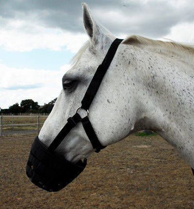 Rhinegold Grazing Muzzle