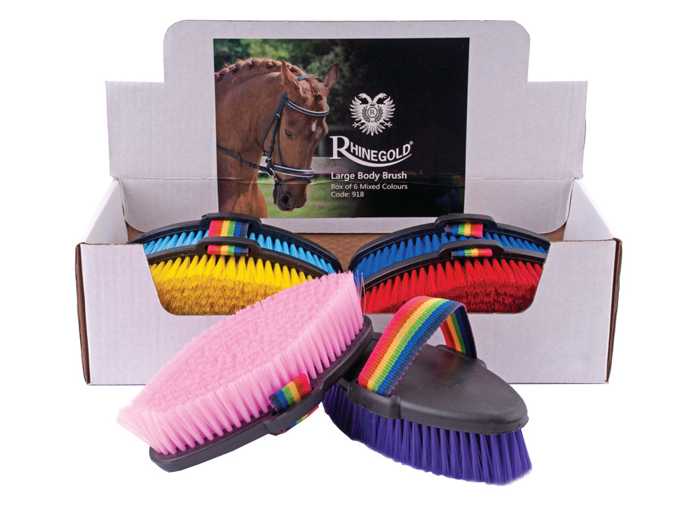 Rhinegold Large Body Brushes -Mixed Colours