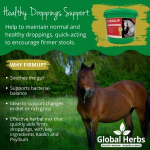 Global Herbs Firm Up - 1 Kilo (was Diareeze)