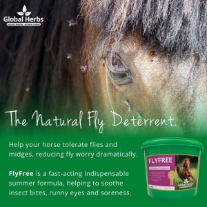 Global Herbs Fly Free - 1kg Tub