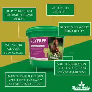 Global Herbs Fly Free - 1kg Tub