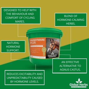 Global Herbs Frisky Mare Plus-1kg Tub