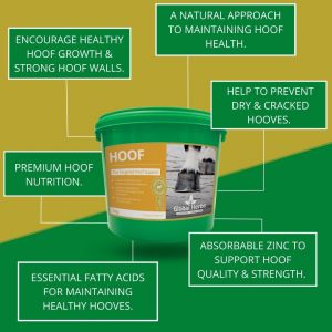 Global Herbs Hoof - 1kg Tub