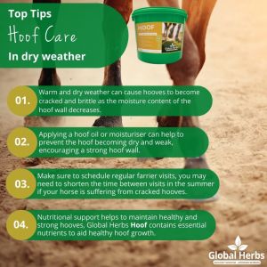 Global Herbs Hoof - 1kg Tub