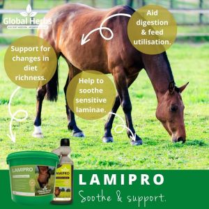 Global Herbs LamiPro Liquid-1 Litre