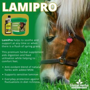 Global Herbs LamiPro Liquid-1 Litre