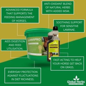 Global Herbs LamiPro Liquid-1 Litre