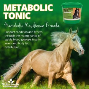 Global Herbs Metabolic Tonic- 1 Kilo