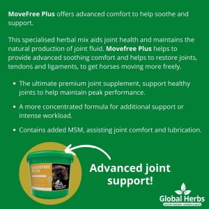Global Herbs MoveFree Plus-500g Tub