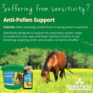 Global Herbs PolleneX Syrup-1 Litre