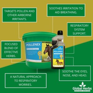Global Herbs PolleneX Syrup-1 Litre