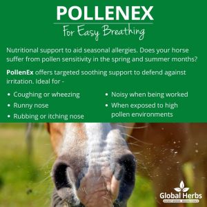 Global Herbs PolleneX Syrup-1 Litre