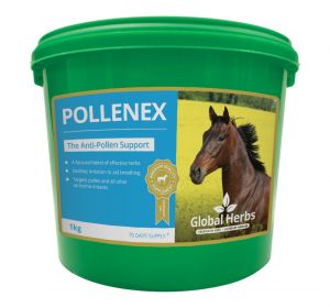 Global Herbs PolleneX-1kg Tub