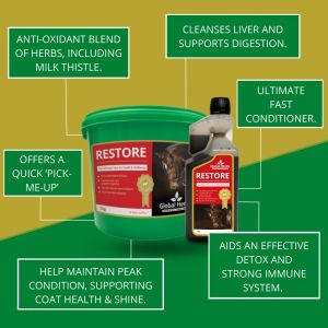 Global Herbs Restore-1kg Tub