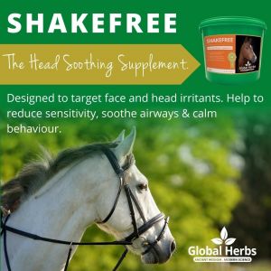 Global Herbs Shakefree -1kg Tub