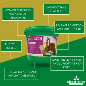 Global Herbs Skratch - 1kg Tub (was Super Skratch)
