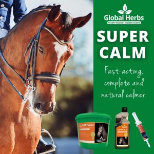 Global Herbs Supercalm Instant Syringe 30ml