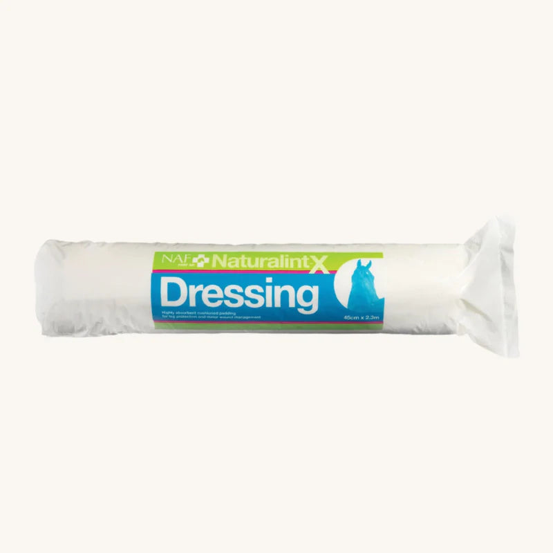 NaturalintX Dressing