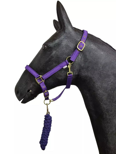 Horse Masters Best On Horse Equestrian Padded Adjustable Plain Headcollar lead