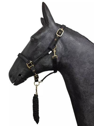 Horse Masters Best On Horse Equestrian Padded Adjustable Plain Headcollar lead